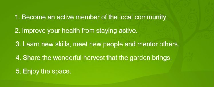 Why Join Avalon Community Garden